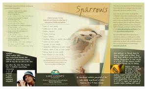 Sparrows of Lake County Field Guide