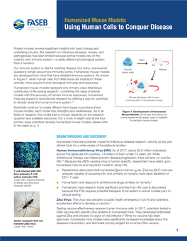 Humanized Mouse Models: Using Human Cells to Conquer Disease