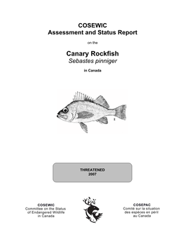COSEWIC Assessment and Status Report on the Canary Rockfish Sebastes Pinniger in Canada