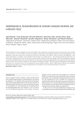 Morphological Transformation of Sensory Ganglion Neurons and Satellite Cells