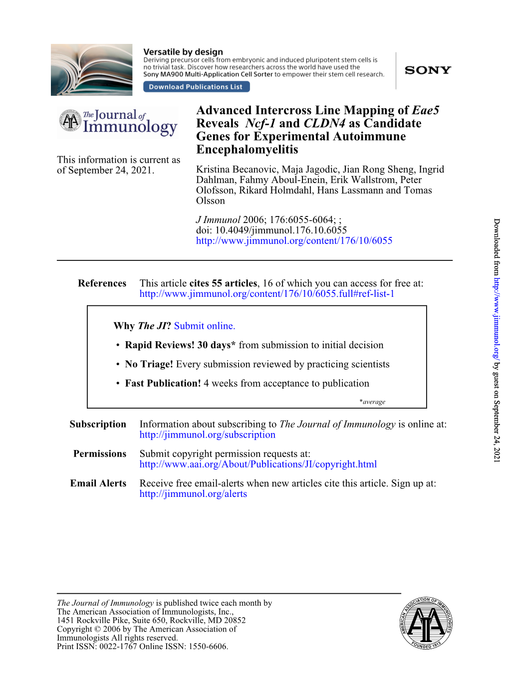 Advanced Intercross Line Mapping of Eae5 Reveals Ncf-1 and CLDN4 As