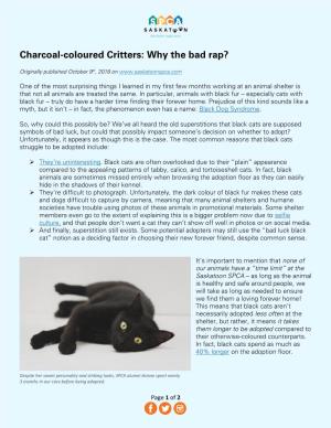 Charcoal-Coloured Critters: Why the Bad Rap?