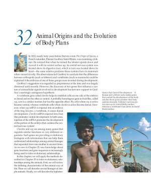 Animal Origins and the Evolution of Body Plans 621