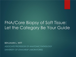 FNA/Core Biopsy of Soft Tissue: Let the Category Be Your Guide