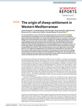 The Origin of Sheep Settlement in Western Mediterranean