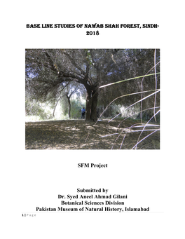 Base Line Studies of Nawab Shah Forest, Sindh- 2018 SFM Project