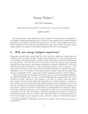 Energy Budgets ∗