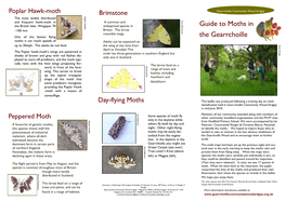 Guide to Moths in the Gearrchoille