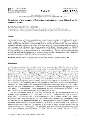 Description of a New Species of Leiopathes (Antipatharia: Leiopathidae) from the Hawaiian Islands