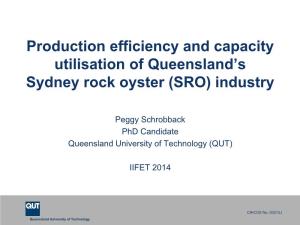 Production Efficiency and Capacity Utilisation of Queensland's Sydney