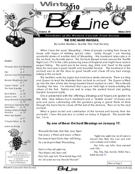 Winter Beeline 2010