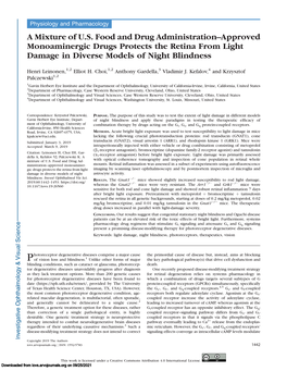 A Mixture of U.S. Food and Drug Administration–Approved Monoaminergic Drugs Protects the Retina from Light Damage in Diverse Models of Night Blindness