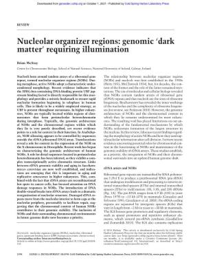 Nucleolar Organizer Regions: Genomic 'Dark Matter' Requiring Illumination