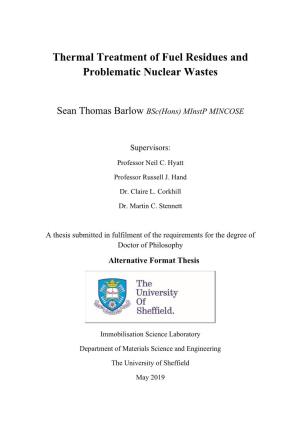 Thermal Treatment of Fuel Residues and Problematic Nuclear Wastes