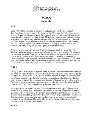 TOSCA Synopsis