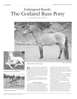 The Gotland Russ Pony by Victoria Tollman, Equus Survival Trust