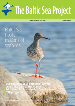 Baltic Sea Hosts Millions of Seabirds