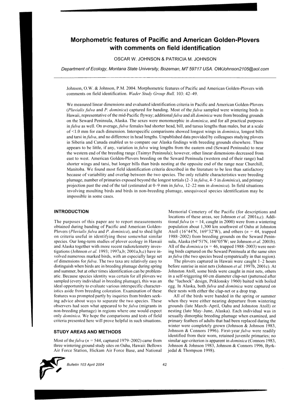 Morphometric Features of Pacific and American Golden&Hyphen;Plovers