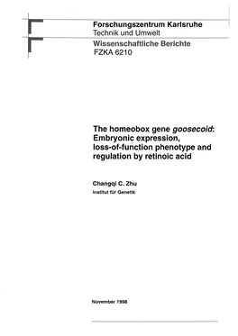 The Homeobox Gene Goosecoid: Embryonie Expression, Loss-Of-Function Phenotype and Regulation by Retinoic Acid