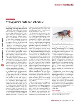 Drosophila's Outdoor Schedule