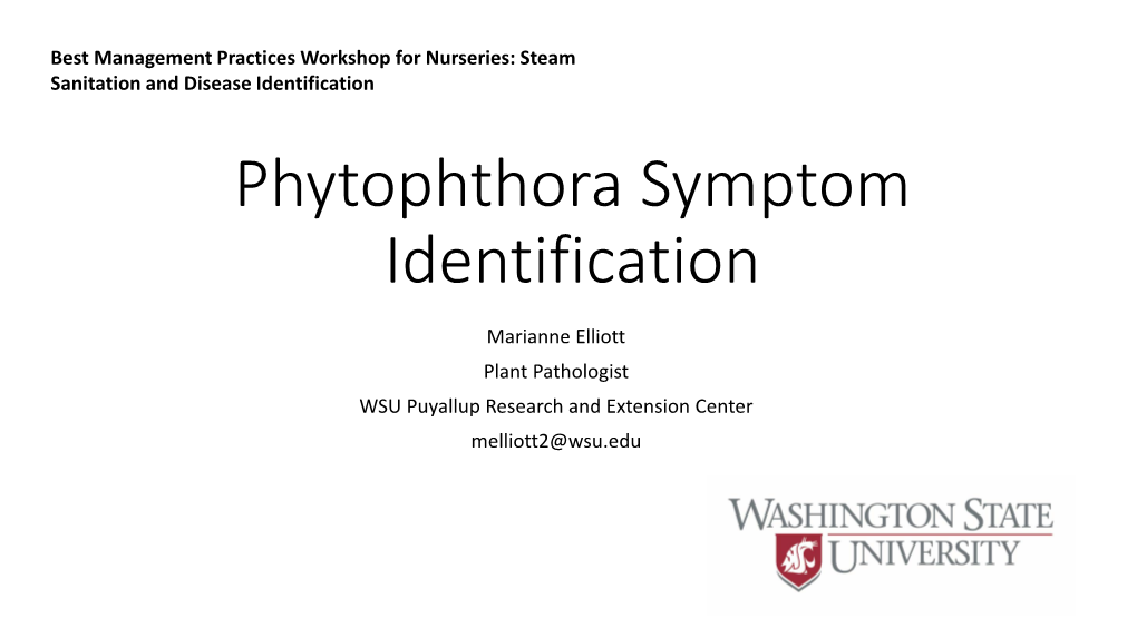 Phytophthora Symptom Identification  DocsLib