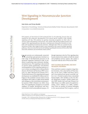 Wnt Signaling in Neuromuscular Junction Development