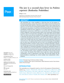 The Jaw Is a Second-Class Lever in Pedetes Capensis (Rodentia: Pedetidae)