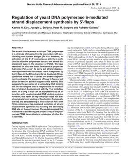Regulation of Yeast DNA Polymerase -Mediated Strand Displacement