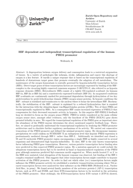 HIF Dependent and Independent Transcriptional Regulation of the Human PHD2 Promoter