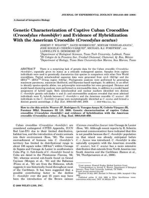 Genetic Characterization of Captive Cuban Crocodiles (Crocodylus Rhombifer) and Evidence of Hybridization with the American Crocodile (Crocodylus Acutus) JEREMY P