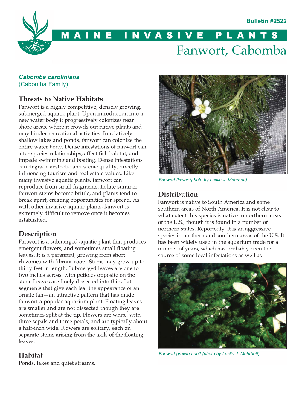 Fanwort, Cabomba