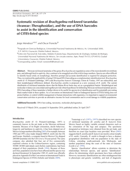 Systematic Revision of Brachypelma Red-Kneed Tarantulas