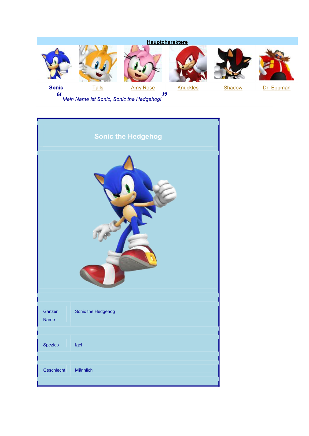 Sonic the Hedgehog!”