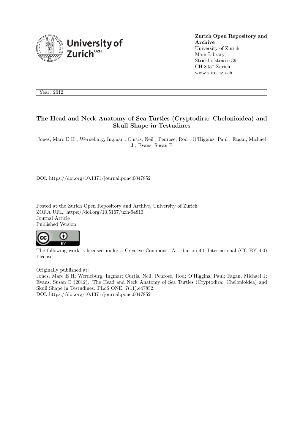 The Head and Neck Anatomy of Sea Turtles (Cryptodira: Chelonioidea) and Skull Shape in Testudines