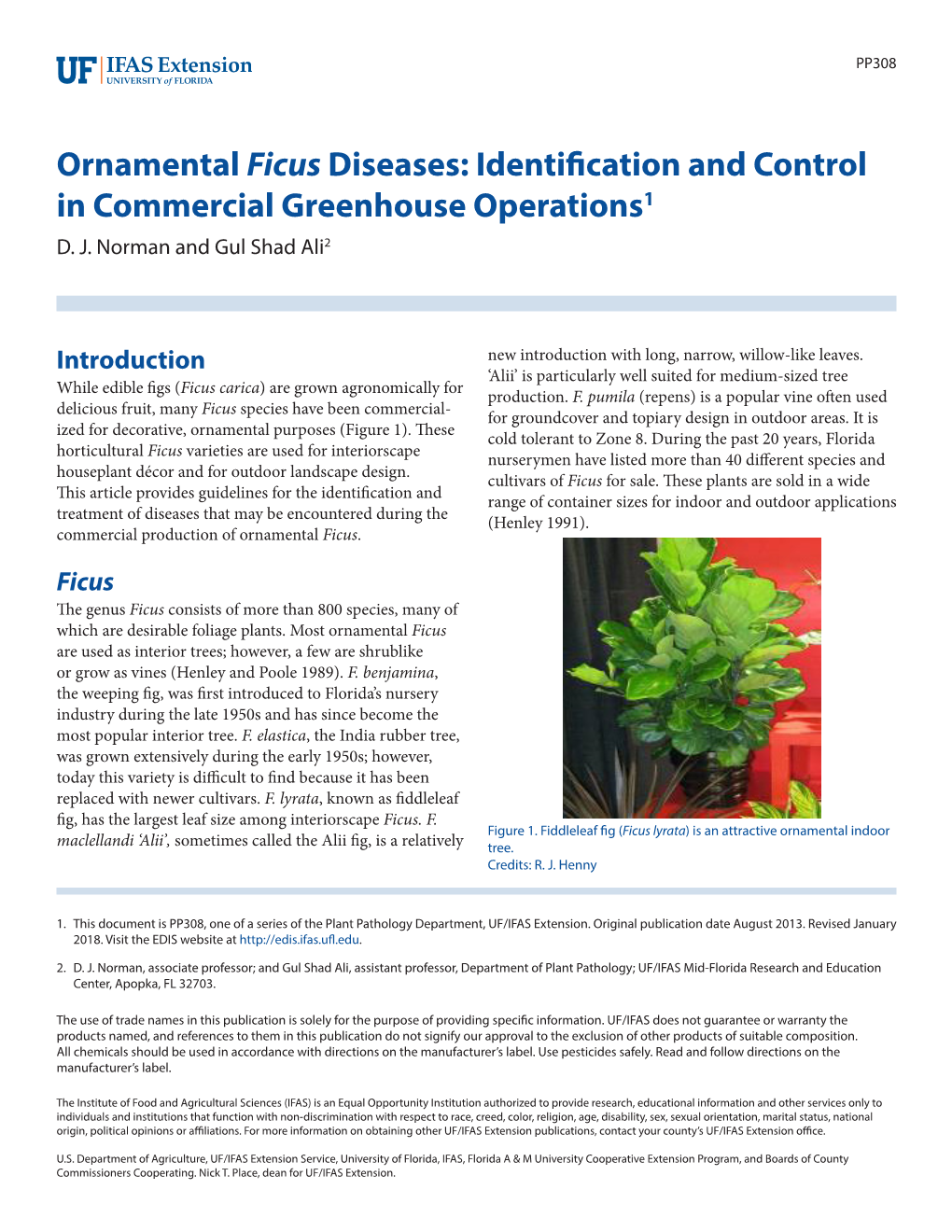 Ornamental Ficus Diseases: Identification and Control in Commercial Greenhouse Operations1 D