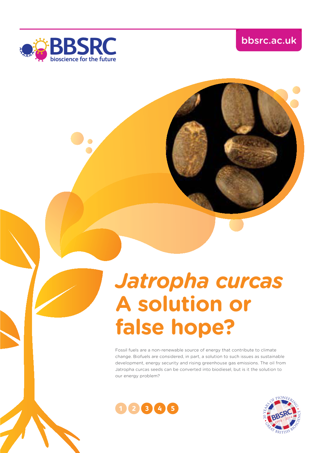 Jatropha Curcas a Solution Or False Hope?