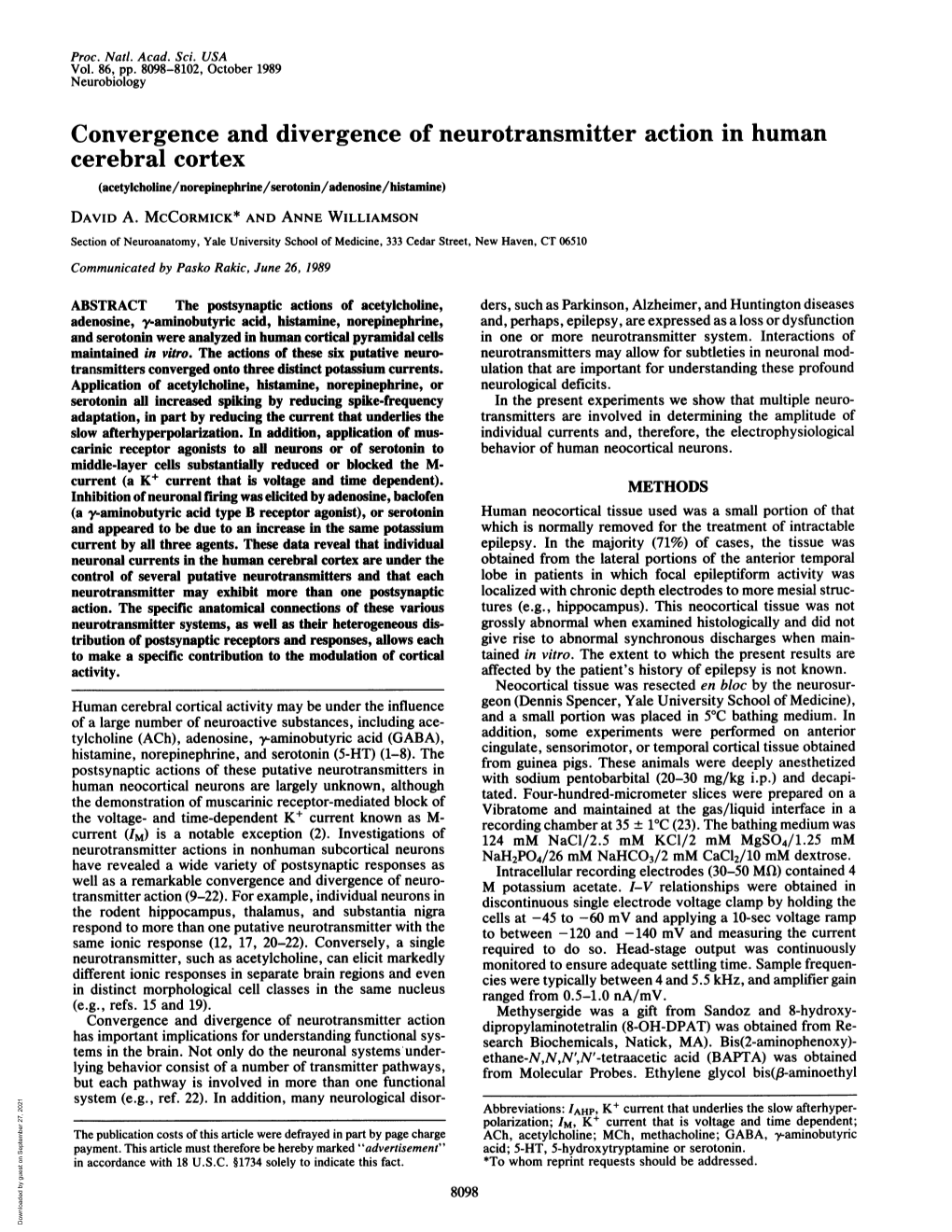 Convergence and Divergence of Neurotransmitter Action in Human Cerebral Cortex (Acetylcholine/Norepinephrine/Serotonin/Adenosine/Histamine) DAVID A