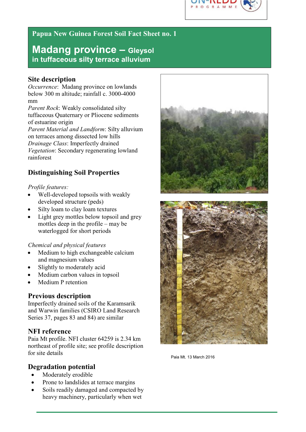 Madang Province – Gleysol in Tuffaceous Silty Terrace Alluvium