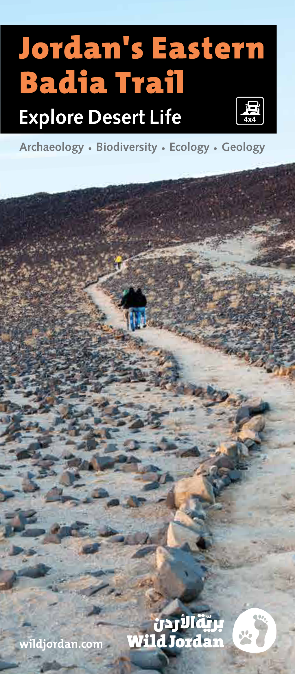 Jordan's Eastern Badia Trail Explore Desert Life Archaeology Biodiversity Ecology Geology