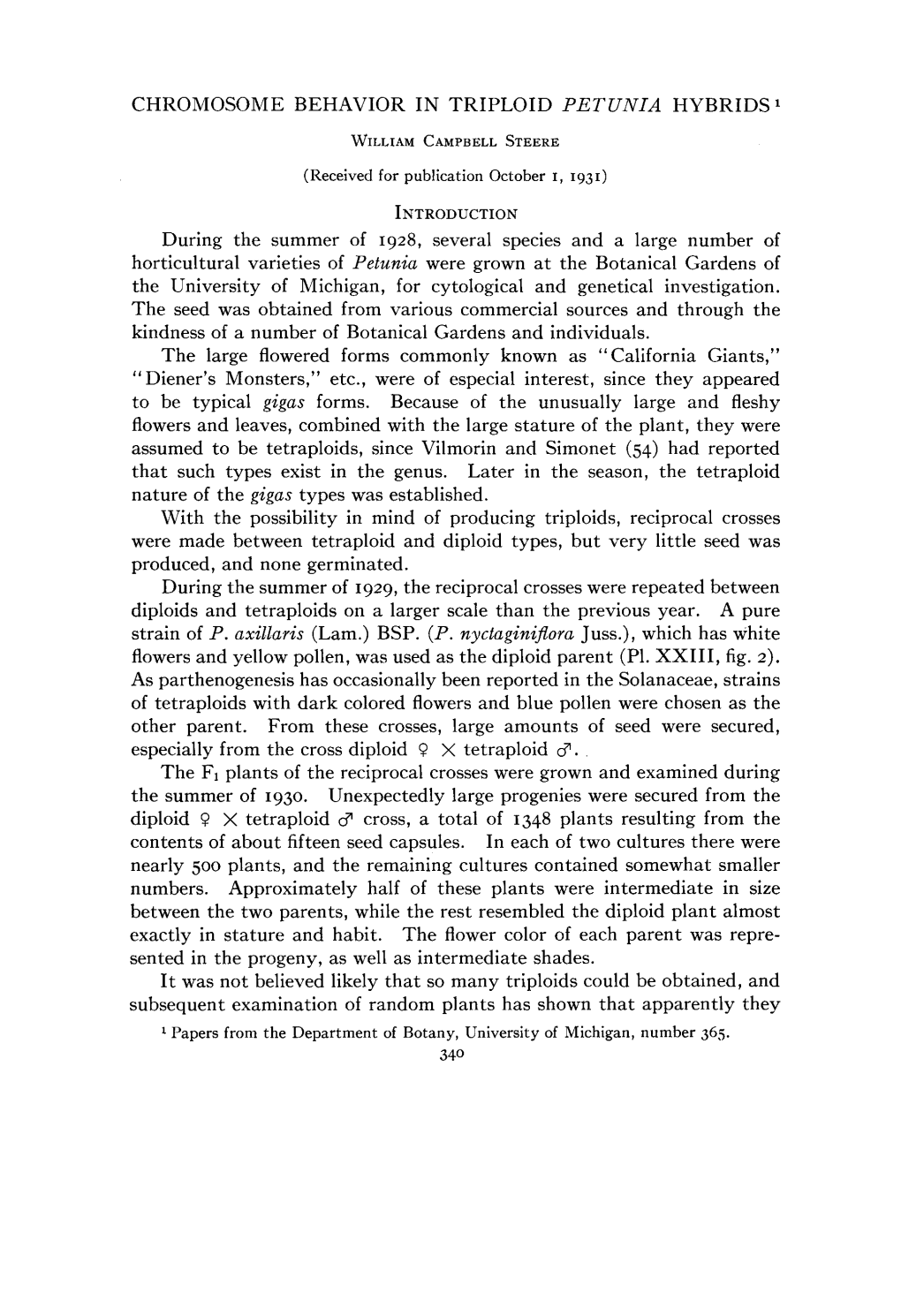 CHROMOSOME BEHAVIOR in TRIPLOID <I>PETUNIA</I