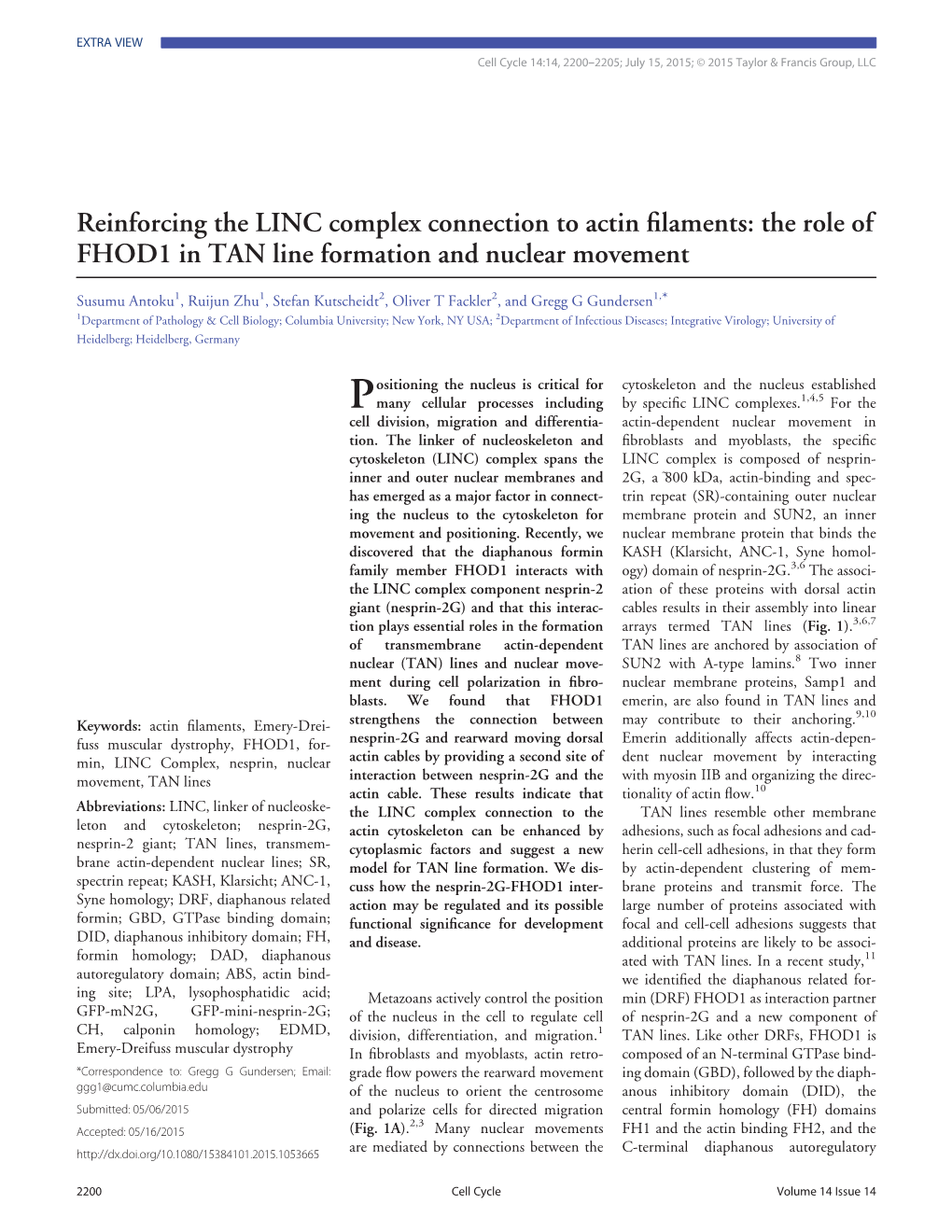 Reinforcing the LINC Complex Connection to Actin Filaments: The