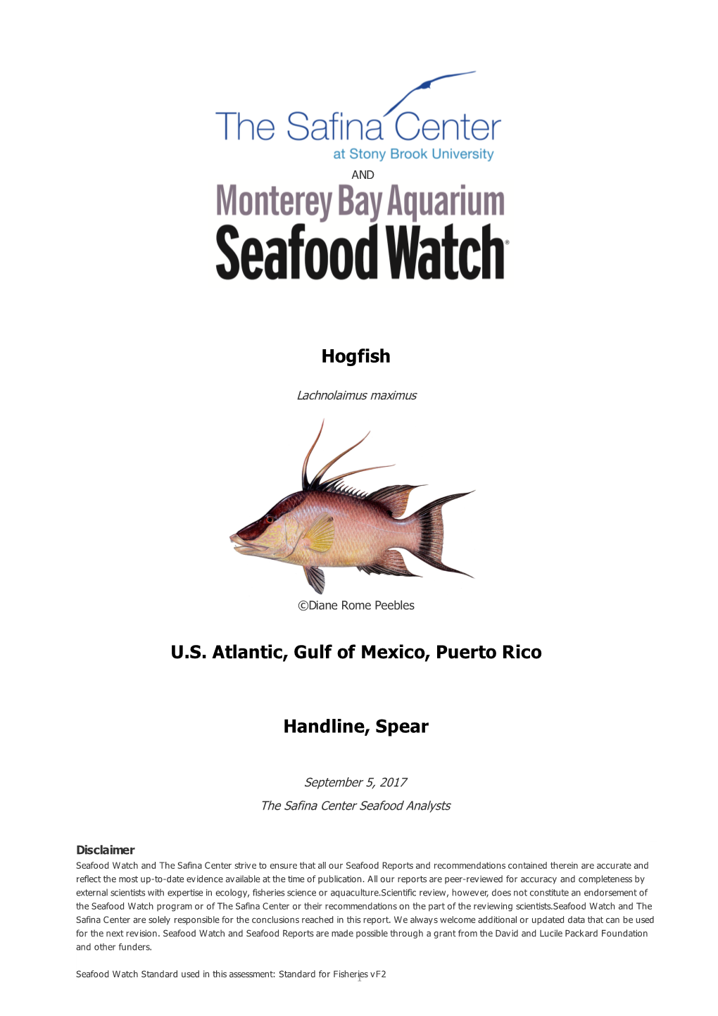 Hogfish U.S. Atlantic, Gulf of Mexico, Puerto Rico Handline, Spear
