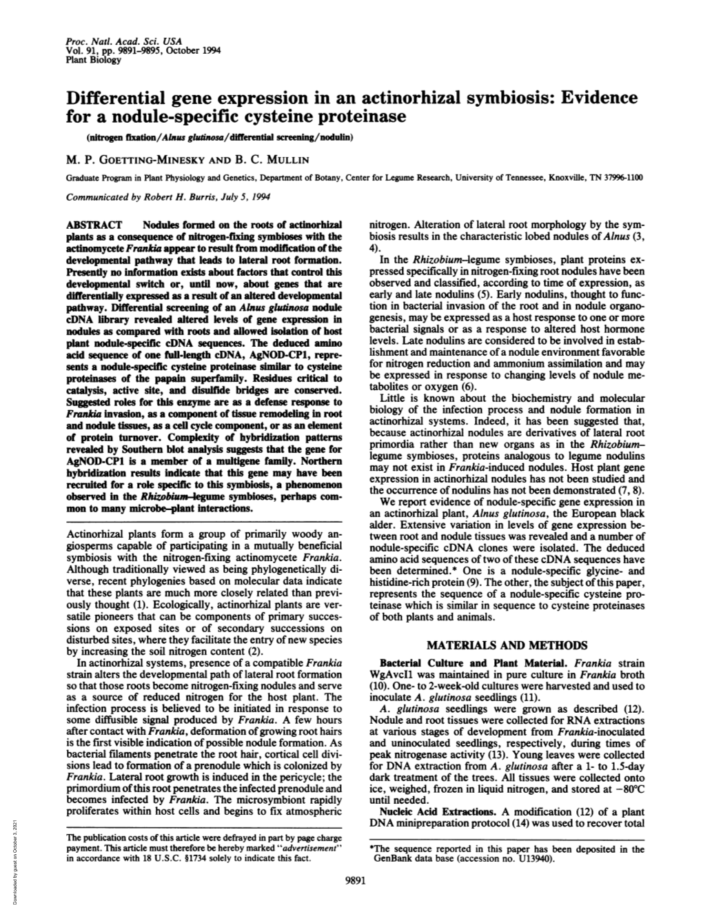 For a Nodule-Specific Cysteine Proteinase (Nitrogen Rixation/Ahlus Gluinosa/Differential Screening/Nodulin) M