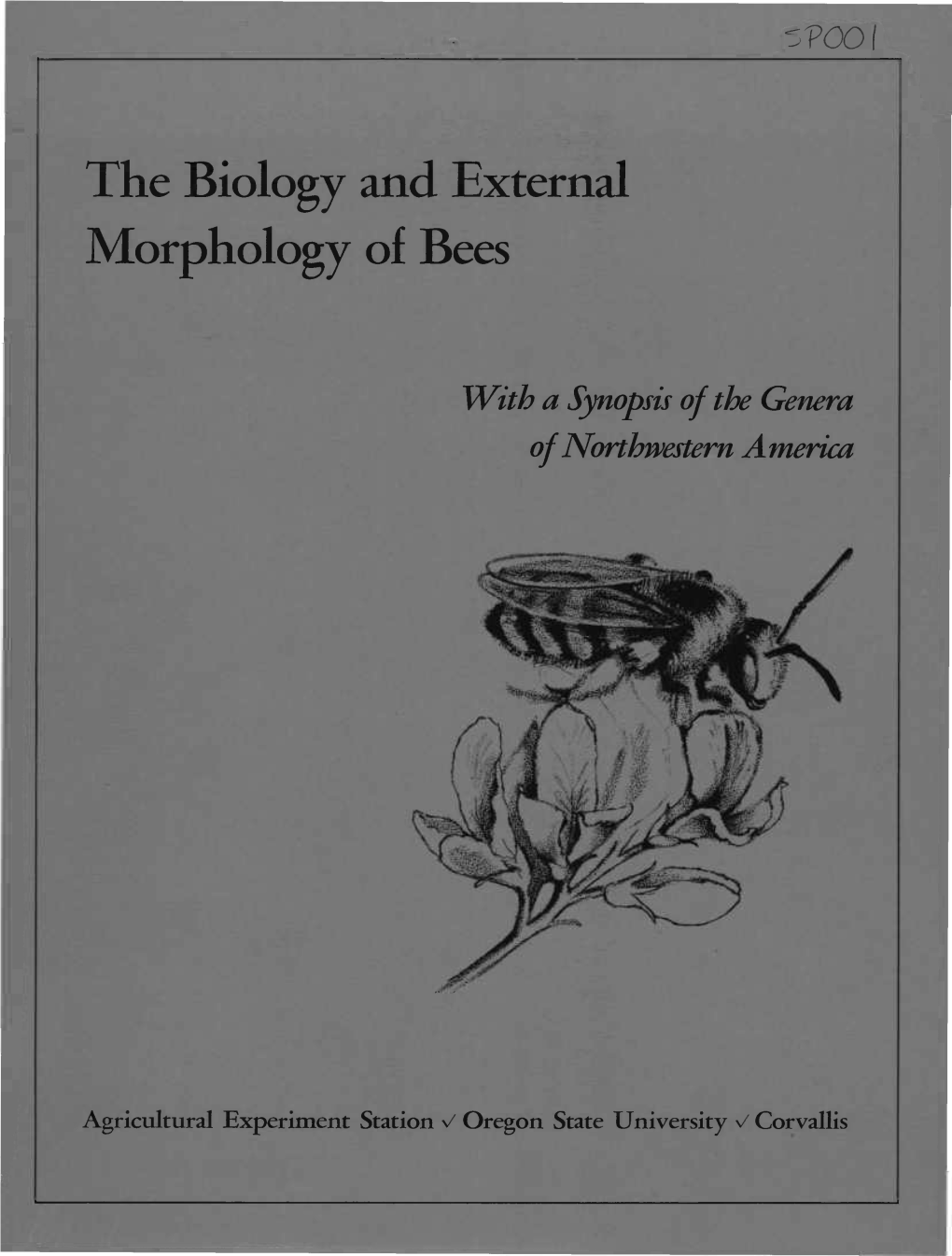 The Biology and External Morphology of Bees