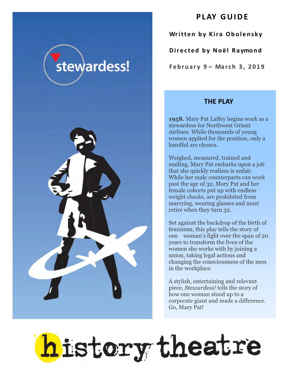 Stewardess! Tells the Story of How One Woman Stood up to a Corporate Giant and Made a Difference