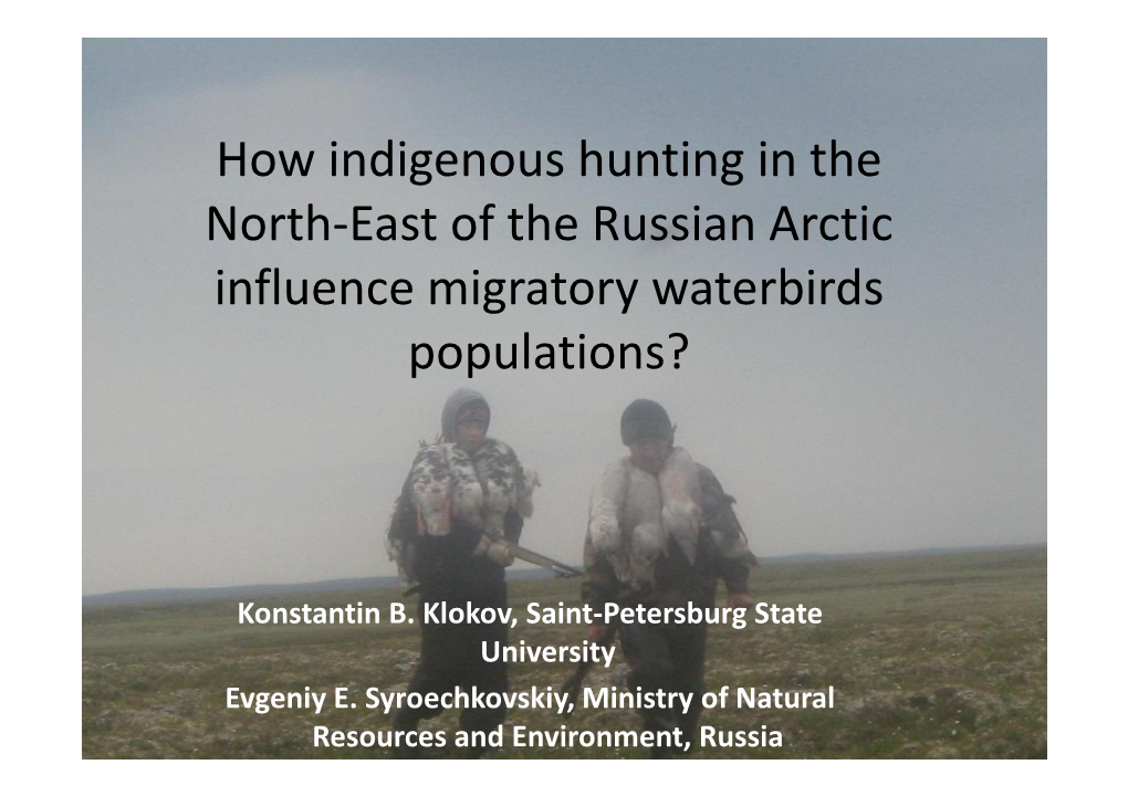 How Indigenous Hunting in the North-East of the Russian Arctic Influence Migratory Waterbirds Populations?