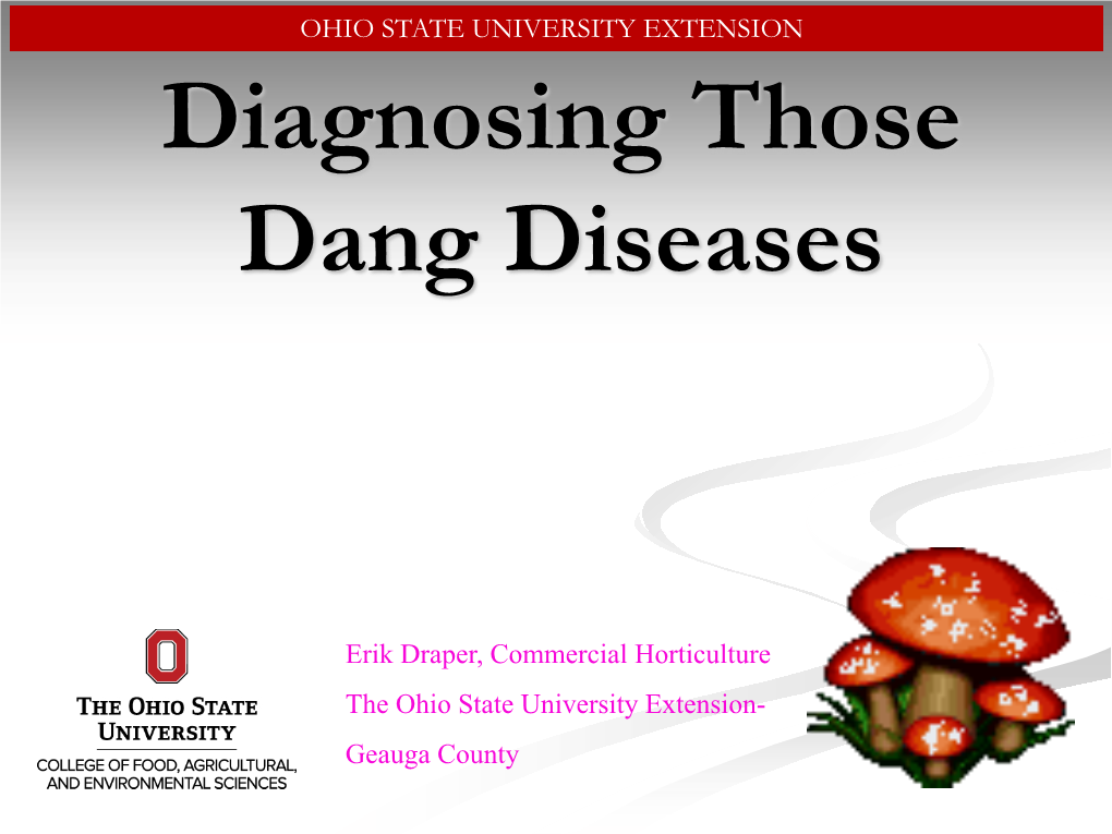 Diagnosing Those Dang Diseases