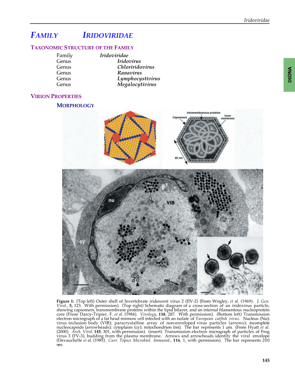 Family Iridoviridae