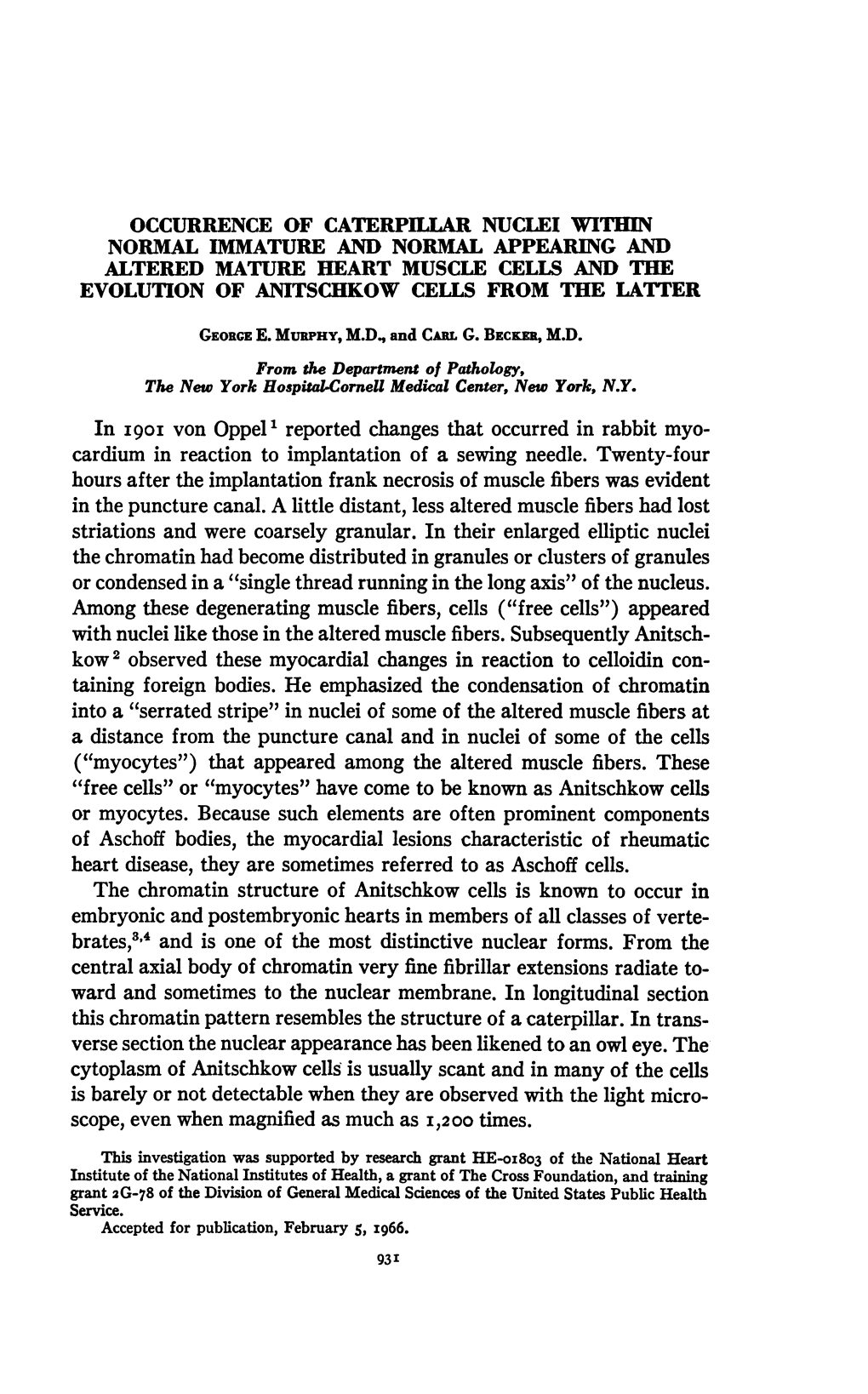 Kow2 Observed These Myocardial Changes in Reaction to Celloidin Con- Taining Foreign Bodies