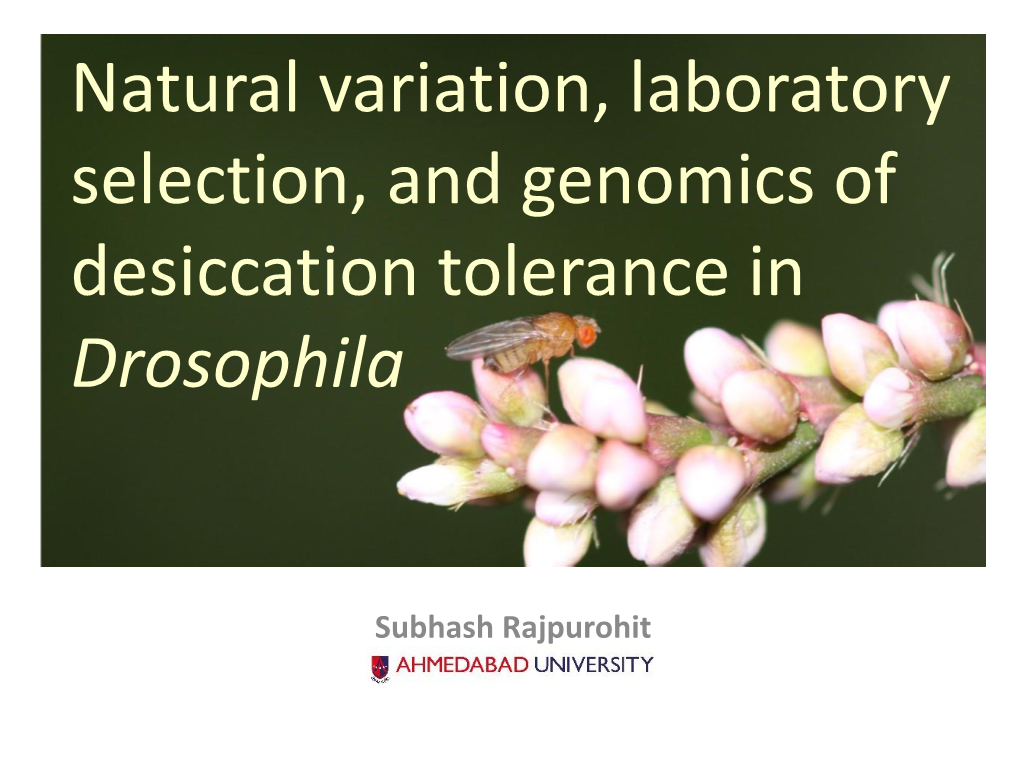 Ecological and Functional Genomic Aspects of Desiccation Tolerance In